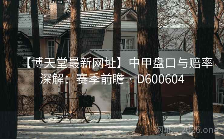 【博天堂最新网址】中甲盘口与赔率深解：赛季前瞻 · D600604
