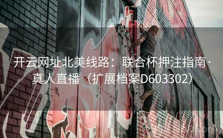 开云网址北美线路：联合杯押注指南·真人直播（扩展档案D603302）