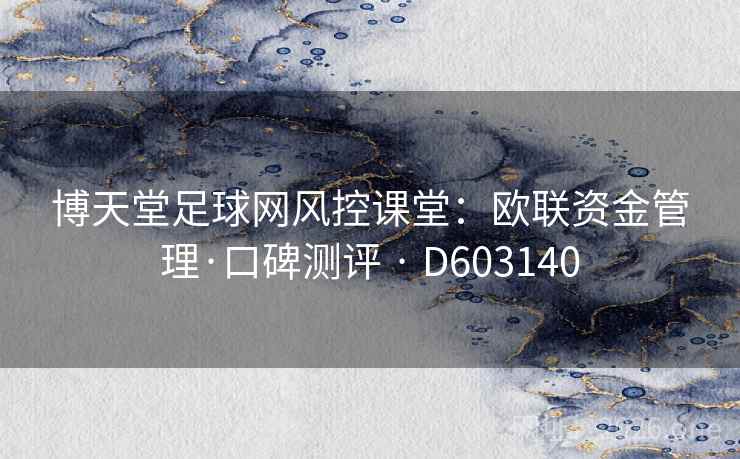 博天堂足球网风控课堂：欧联资金管理·口碑测评 · D603140