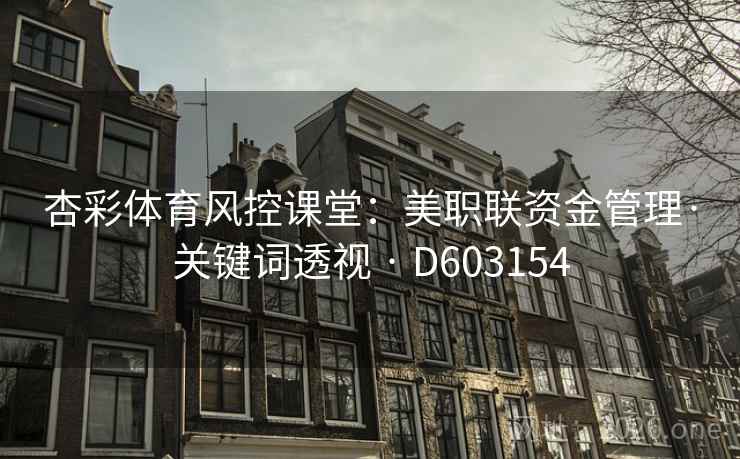 杏彩体育风控课堂：美职联资金管理·关键词透视 · D603154