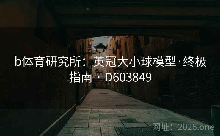 b体育研究所：英冠大小球模型·终极指南 · D603849